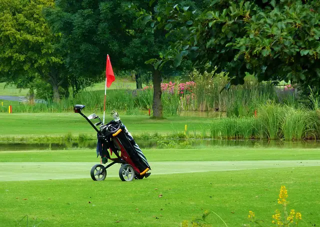 What are different Golf bags for kids