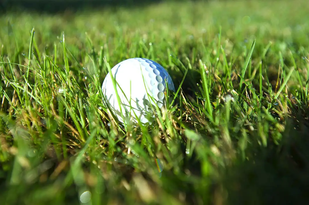 garmin approach s20 gps golf watch reviews