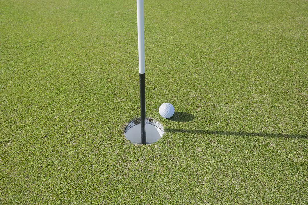 Which Golf GPS to Buy? Read This Comprehensive Guide