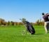 How Much to Ship Golf Clubs – Courier Comparison Guide