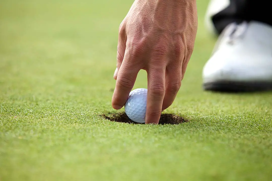 Where to Buy Jordan Golf Shoes - Most Valuable Shoes!