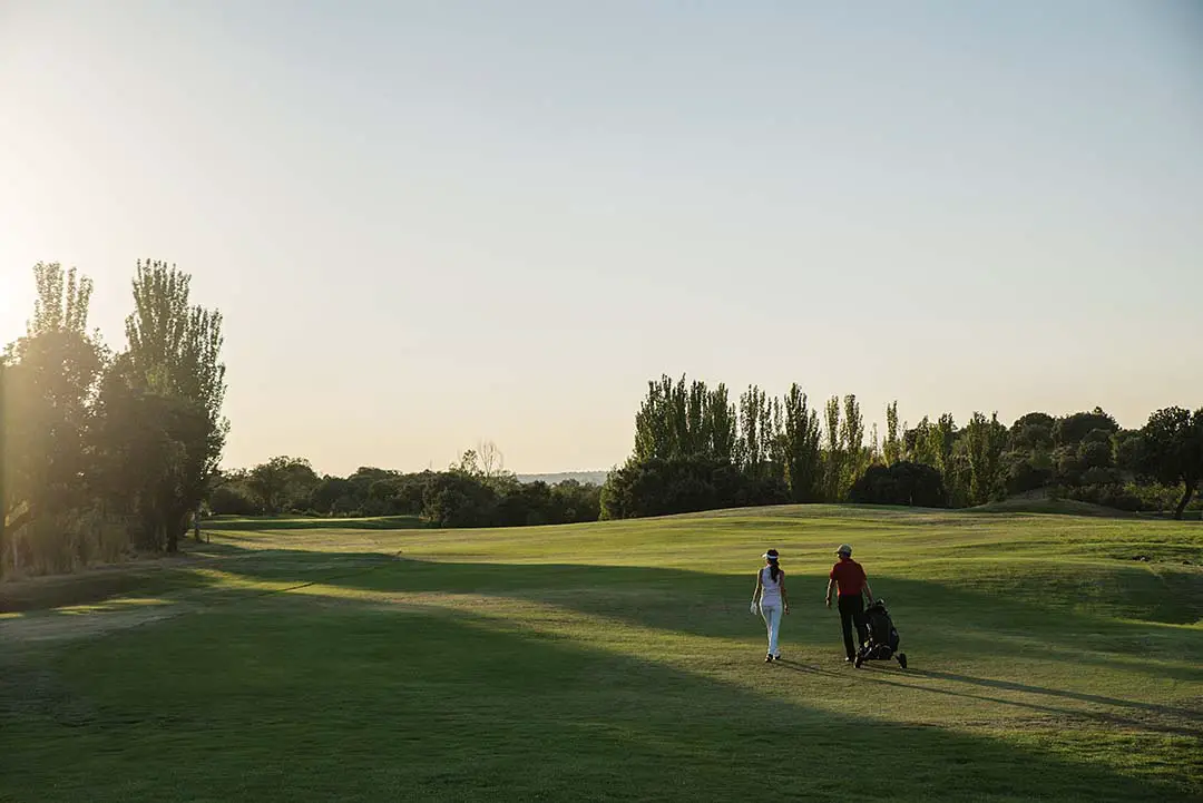 All You Need to Know About Golf Bag Set Up