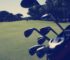 Can You Rent Golf Clubs – Renting at Golf Course vs. Bringing Your Own