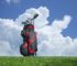 How Tall Are Golf Bags – Important Golf Bag Dimensions