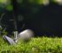 Best Golf Iron Sets | Improving Your Handicap