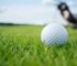 What Type of Golf Balls Should a Beginner Use