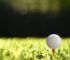 What are The Best Golf Balls for High Handicappers