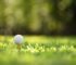 What are The Best Golf Balls for Seniors | Golf Knows No Age