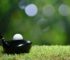 Choosing Among the Best Golf Balls on Amazon